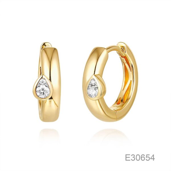 HOOPS EARRINGS